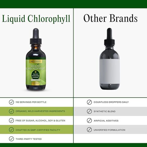 Go Nutrients Liquid Chlorophyll, Mulberry Derived Supplement, Chlorophyll Liquid Drops for Internal Deodorant, Energy, Digestion & Skin, Mint Flavor, Non-Diluted, 2oz | 118 Servings in Kuwait