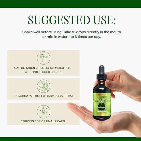 Go Nutrients Liquid Chlorophyll, Mulberry Derived Supplement, Chlorophyll Liquid Drops for Internal Deodorant, Energy, Digestion & Skin, Mint Flavor, Non-Diluted, 2oz | 118 Servings in Kuwait