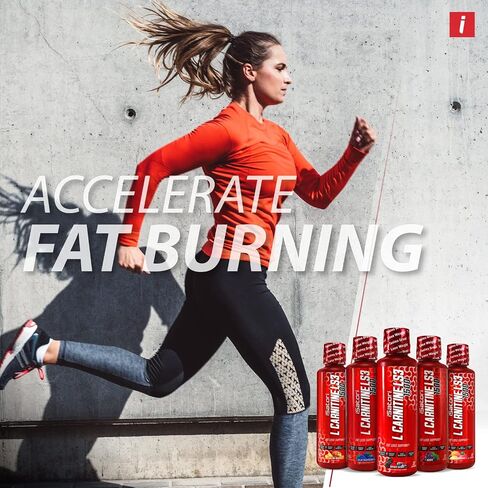 iSatori L-Carnitine LS3 1500, Liquid L-Carnitine with Acetyl L-Carnitine, L-Carnitine L-Tartrate, Stimulant Free Pre Workout, No Calories, Sugar, Gluten, Keto-Friendly, Grape Flavor (32 Servings) in Kuwait