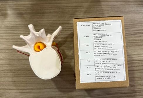 Human Lumbar Disc Herniation Model, Transparent Lumbar Spine Model, with Elastic Software, Press to Simulate Lumbar Disc Herniation in Kuwait