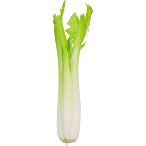 Unomor Realistic Simulation Celery Model Decorative Prop for Photography, PU Material Lifelike Green Vegetable Ornament for Home Kitchen Decoration and Display, Perfect for Photo Props