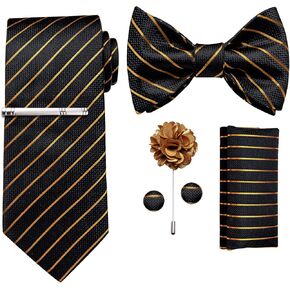 DiBanGu Mens Silk Tie and Bowtie Lapel Pin Tie Clip Set Paisley Solid Necktie and Pocket Square Cufflinks for Wedding Party