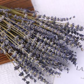 Dried Lavender Flowers Bundle, White Preserved Dry Lavender Bouquet, 17" Natural Dried Flowers for Home Wedding Vase Decor, Photo Props, Crafts, Flower Arrangements, Gifts for Her