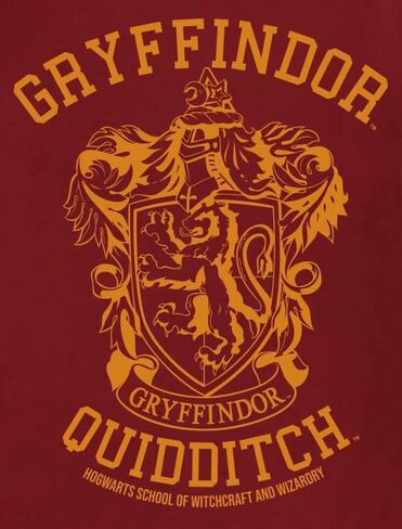 Harry Potter Men's Gryffindor Quidditch Seekert-Shirt in Saudi Arabia