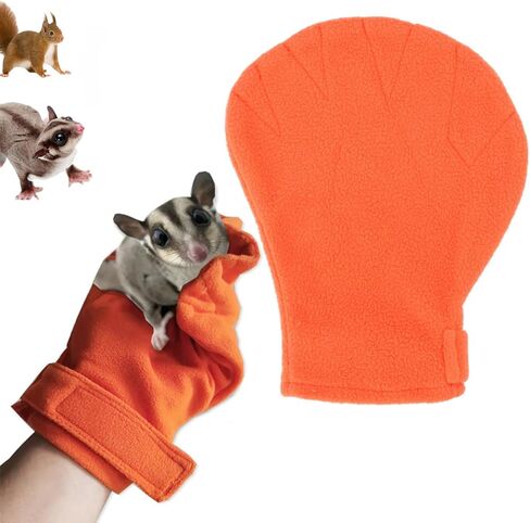 HEEPDD Sugar Glider Bonding Mitt, Bite Resistance Small Animals Bonding Calming Glove for Small Animal Sugar Glider Hedgehog Green in Saudi Arabia