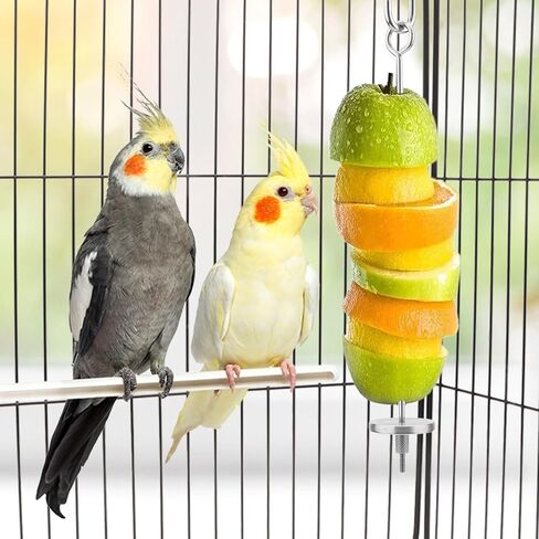 Bird Fruit Vegetable Holder Stainless Steel Vegetable Skewer Hanging Food Feed Tool for Parrot Budgies Parakeet Cockatiels Conure Lovebirds Finch Canary Pigeon Hamster Rat Gerbil Cage (7.9inch,20cm) in Kuwait