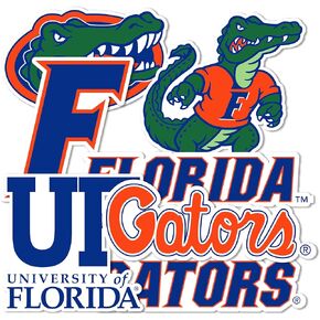 Desert Cactus University of Florida Sticker UF Gators Stickers Vinyl Decals Laptop Water Bottle Car Scrapbook T2 (Type 2)