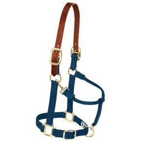 Weaver Leather Nylon Adjustable Breakaway Horse Halter, Average, Navy