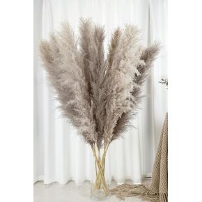 Pampas Grass Decor Tall, 40" Inch 10 Stems Natural Pompas Grass, Dried Pampas Grass for Wedding, Birthday Party, Farmhouse, Boho Home Decor, Baby Shower Decorations