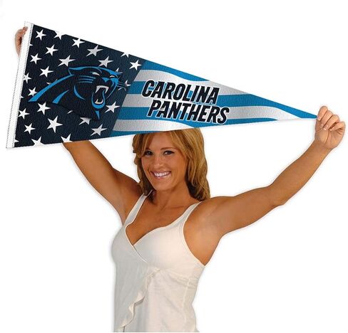 Carolina Panthers Nation USA Americana Stars and Stripes Pennant Banner Flag in Saudi Arabia