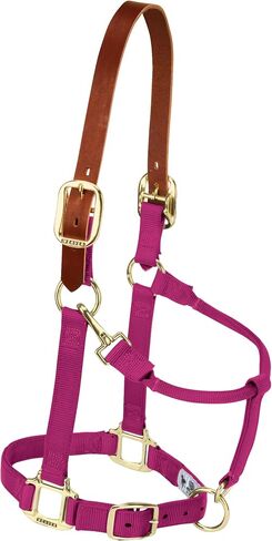 Weaver Leather Nylon Adjustable Breakaway Horse Halter, Average, Raspberry in Saudi Arabia
