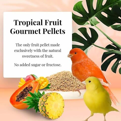 LAFEBER'S Tropical Fruit Gourmet Pellets Pet Bird Food, No Added Sugar, Made with Non-GMO and Human-Grade Ingredients, for Canaries, 1.25 lb in Kuwait
