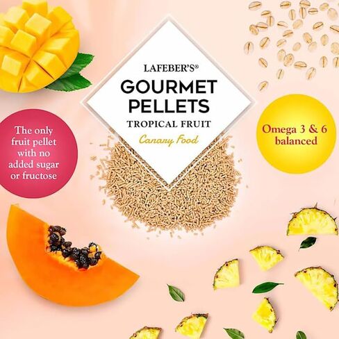 LAFEBER'S Tropical Fruit Gourmet Pellets Pet Bird Food, No Added Sugar, Made with Non-GMO and Human-Grade Ingredients, for Canaries, 1.25 lb in Kuwait