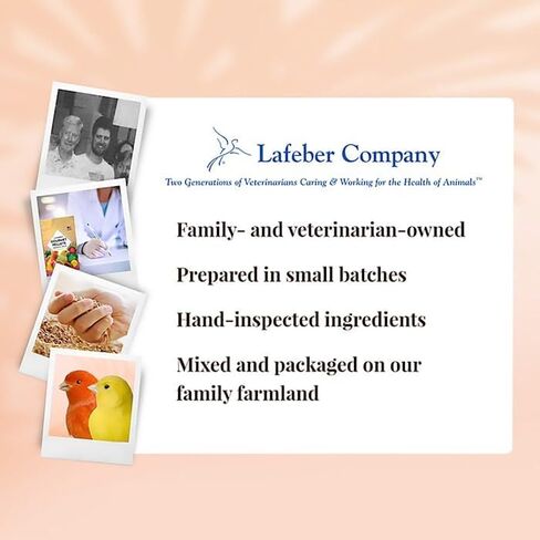 LAFEBER'S Tropical Fruit Gourmet Pellets Pet Bird Food, No Added Sugar, Made with Non-GMO and Human-Grade Ingredients, for Canaries, 1.25 lb in Kuwait