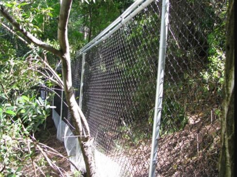 8 Foot Kit - Keep Pets Contained, Coyotes Out - Cats, Dogs, Coyotes - Chain Link in Saudi Arabia