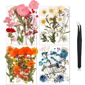 Nuanchu Dried Pressed Flowers for Craft Colorful Real Natural Dried Flowers with Tweezer for Scrapbook Supplies Card Making Resin Jewelry Making DIY(Vivid Style)