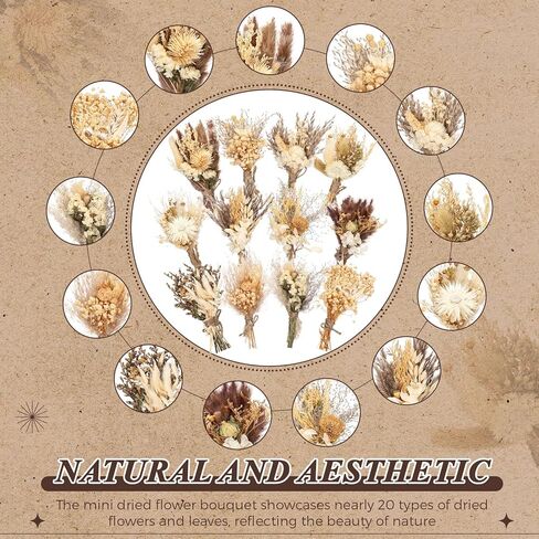 Layhit 24 Pcs Boho Dried Flower Bouquet Mini Wedding Handmade Dry Flowers Decor for Vase Crafts DIY Photo Boutonniere for Men Floral Plant for Bridesmaid Gift Birthday Decor (Gerbera Daisy) in Kuwait