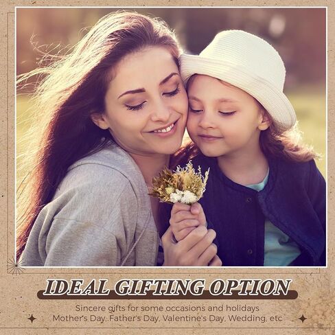 Layhit 24 Pcs Boho Dried Flower Bouquet Mini Wedding Handmade Dry Flowers Decor for Vase Crafts DIY Photo Boutonniere for Men Floral Plant for Bridesmaid Gift Birthday Decor (Gerbera Daisy) in Kuwait