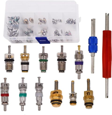 مجموعة سدادات أساسية لصمام تكييف الهواء مكونة من 102 قطعة - مناسبة عالميًا لمكيفات هواء السيارة R12 وR134a والتبريد وإصلاح صمام الإطارات مع أداة تثبيت مزدوجة الرأس in Kuwait