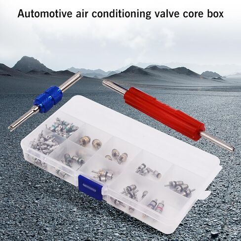 مجموعة سدادات أساسية لصمام تكييف الهواء مكونة من 102 قطعة - مناسبة عالميًا لمكيفات هواء السيارة R12 وR134a والتبريد وإصلاح صمام الإطارات مع أداة تثبيت مزدوجة الرأس in Kuwait