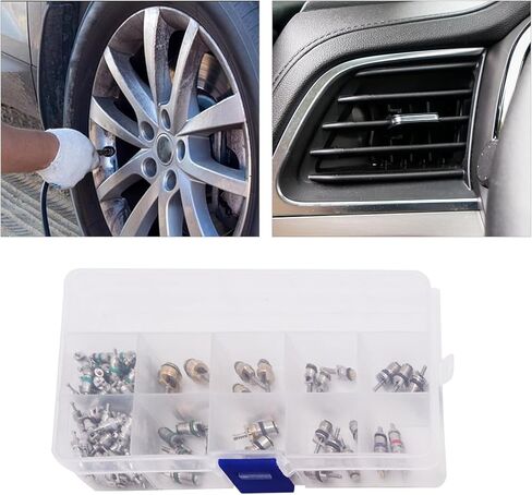 مجموعة سدادات أساسية لصمام تكييف الهواء مكونة من 102 قطعة - مناسبة عالميًا لمكيفات هواء السيارة R12 وR134a والتبريد وإصلاح صمام الإطارات مع أداة تثبيت مزدوجة الرأس in Kuwait