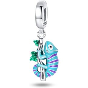 925 Sterling Silver Bead Charm for Pandora Charms Bracelets and Necklaces for Woman 5A Cubic Zirconias Dangle Pendant,Jewelry Bead