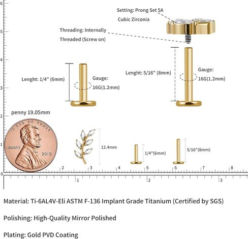 FINE4U 1 قطعة 16G ASTM F136 مسمار مسطح من أوراق التيتانيوم مع عمود 6 مم 8 مم للمسطح، الحلزون، الزنمة، المحارة، الفص in Kuwait