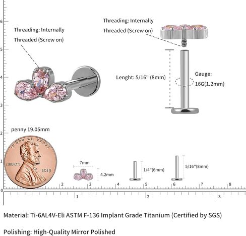 FINE4U 1 قطعة 16G ASTM F136 مسمار مسطح من أوراق التيتانيوم مع عمود 6 مم 8 مم للمسطح، الحلزون، الزنمة، المحارة، الفص in Kuwait