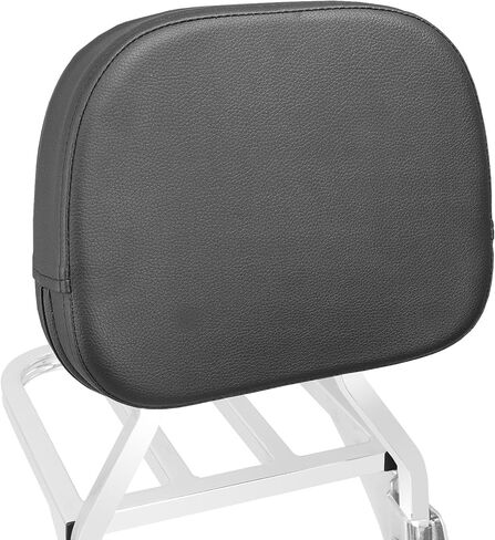 مسند ظهر للركاب قابل للفصل مع رف أمتعة ومجموعة أدوات إرساء مناسبة لـ Harley Sportster XL 883 1200 2004-2024 (أسود) in Kuwait