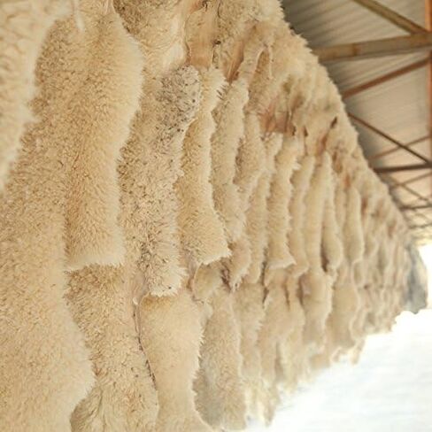 20 inchs Fluffy Genuine Australia Sheepskin Car Seat Cover for Auto Interior Accessories with Soft Fuzzy Wool Natural Fur Non-Slip (Black, Front) in Kuwait