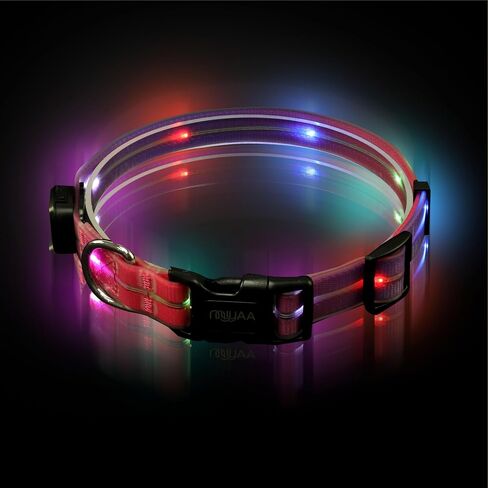 Light up Dog Collars, LED Dog Collar Light, USB Rechargeable Bright Flashing Dog Collar with Waterproof, Lighted Safety Collar for Walking at Night for Small Medium Large Dogs (Blue) in Kuwait
