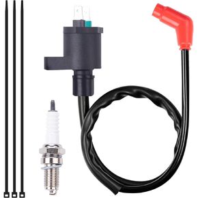 TNNR Ignition Coil Pack and spark plug Compatible with 1988-2018 HONDA TRX250EX RECON 250 TRX250TM TRX250TE TRX250X Fourtrax 300 TRX300 TRX300FW