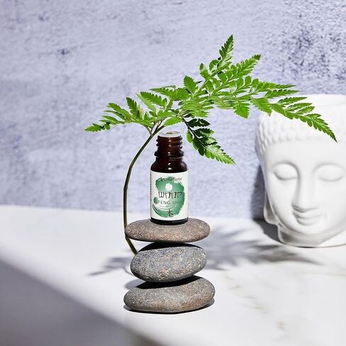 عنصر الماء - مزيج ناشر الزيوت العطرية فنغ شوي من أرومافومي | 3 × 10 مل | إنشاء أفضل فنغ شوي | توازن عنصر الماء |الحث على النقاء والتدفق والتجديد والسهولة| مصنوع من زيت عطري نقي in Kuwait