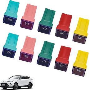 10PCS(20A 30A 40A 50A 60A) Car Fuse Combination, Tall/Standard and Low Profile Box Shaped Automotive Fuses,Compatible with Nissan Pickup, Ford, Chevrolet,and Other Vehicle Type Fuses. (Low)