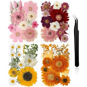 Nuanchu Pressed Flowers Bulk Dried Flower for Crafts, Dried Flower Leave Natural with Tweezer for Resin Mold Scrapbooking DIY (Rustic Style)