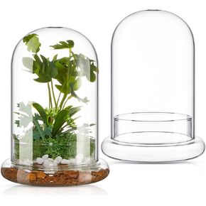 2 Pcs Glass Terrarium 5.9 x 7.9 Inch Glass Terrarium Planter Container Clear Glass Dome Cloche with Airhole and Base for Plant Flower Home Tabletop Display Centerpiece, Plants Not Included