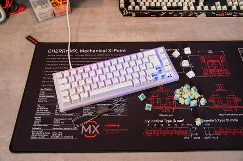 CHERRY MX RGB Speed Silver Switch Kit, 23 Mechanical Keyboard Switches, for DIY, Hot-Swap or Gaming Keyboards, Linear Switch Without Click, Fast & Direct in Kuwait