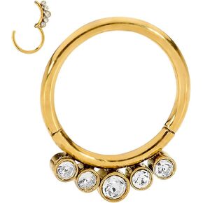 365 Sleepers Surgical Steel 16G 8mm 10mm Gem Hinged Hoop Segment Nose Ring Helix Tragus Septum Earring Unisex Body Piercing Jewelry