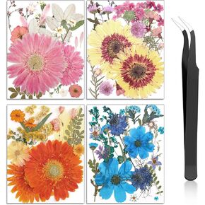 Nuanchu Pressed Flowers Bulk Dried Flower for Crafts, Dried Flower Leave Natural with Tweezer for Resin Mold Scrapbooking DIY (Sweet Style)