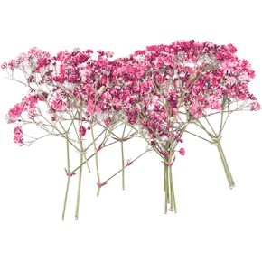 YouthBro 150PCS White Dried Pressed Babys Breath Flowers Bulk, Real Nature Ivory White Gypsophila Branches Bouquet for Resin Invitations Wedding Art Craft DIY Card Making