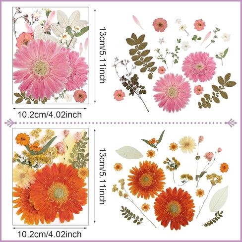Nuanchu Pressed Flowers Bulk Dried Flower for Crafts, Dried Flower Leave Natural with Tweezer for Resin Mold Scrapbooking DIY (Sweet Style) in Saudi Arabia