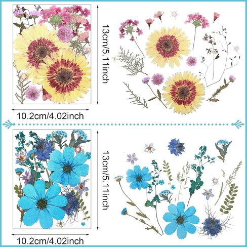Nuanchu Pressed Flowers Bulk Dried Flower for Crafts, Dried Flower Leave Natural with Tweezer for Resin Mold Scrapbooking DIY (Sweet Style) in Saudi Arabia
