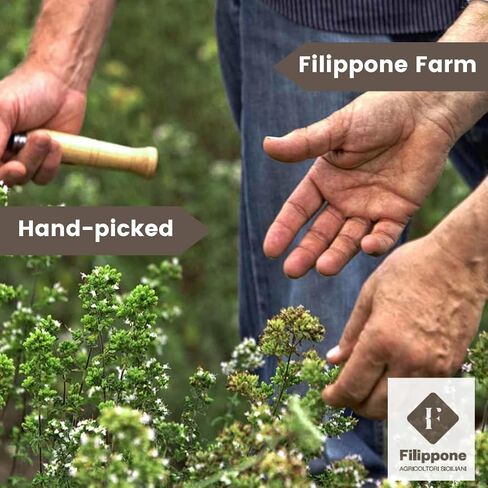 Filippone® باقة اللافندر العضوية المجففة 25 جم (0.88 أونصة)، نمت حديثًا في جبال صقلية، لافندر الطهي، فروع اللافندر الإيطالي المجفف، الأعشاب، التوابل، عضوي معتمد من وزارة الزراعة الأمريكية in Saudi Arabia