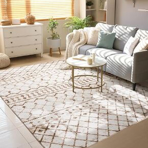 5x7 Area Rugs 5x7, Machine Washable Modern Area Rugs, Super Soft Faux-Wool Area Rugs for Living Room Bedroom Dining Room, Neutral Area Rug Geometric, Non-Slip Low Pile, Grey White