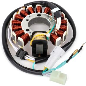 SCITOO 12V Magneto Coil Stator 1999-2000 2002-2004 for Yamaha TTR225 2001-2007 for Yamaha XT225