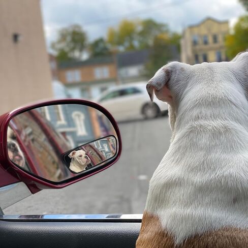 قطعتان من مرآة النقطة العمياء للسيارة - طقم مرايا جانبية محدبة للرؤية الخلفية، زجاج عالي الدقة مستطيل الشكل بزاوية واسعة للرؤية الخلفية مع ملحقات غطاء النقطة العمياء مع أجزاء المطر in Kuwait