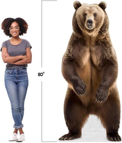 Bear - أشخاص من الورق المقوى بالحجم الطبيعي مع حامل دعم | الحيوانات -1 in Saudi Arabia