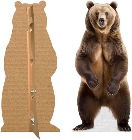 Bear - أشخاص من الورق المقوى بالحجم الطبيعي مع حامل دعم | الحيوانات -1 in Saudi Arabia