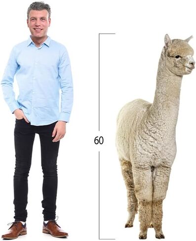 Bear - Life Size Cardboard Cutout Standup People with Support Standee | Animals -1 in Kuwait