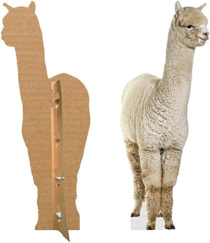 Bear - Life Size Cardboard Cutout Standup People with Support Standee | Animals -1 in Kuwait